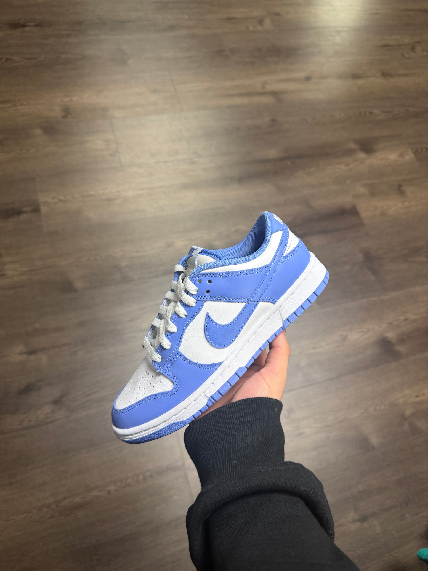 Dunk Low “Polar Blue”