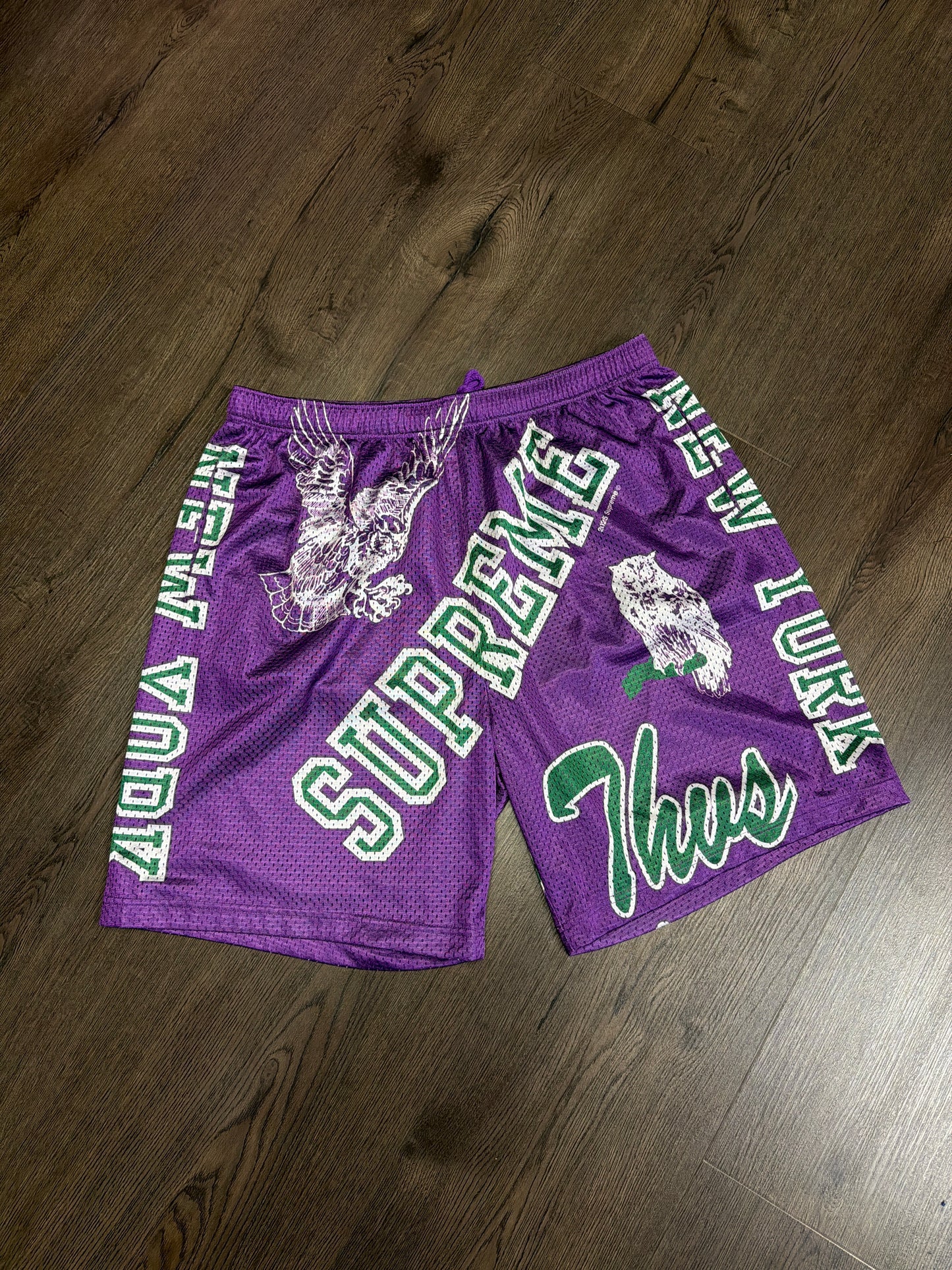 Supreme Purple Green Shorts