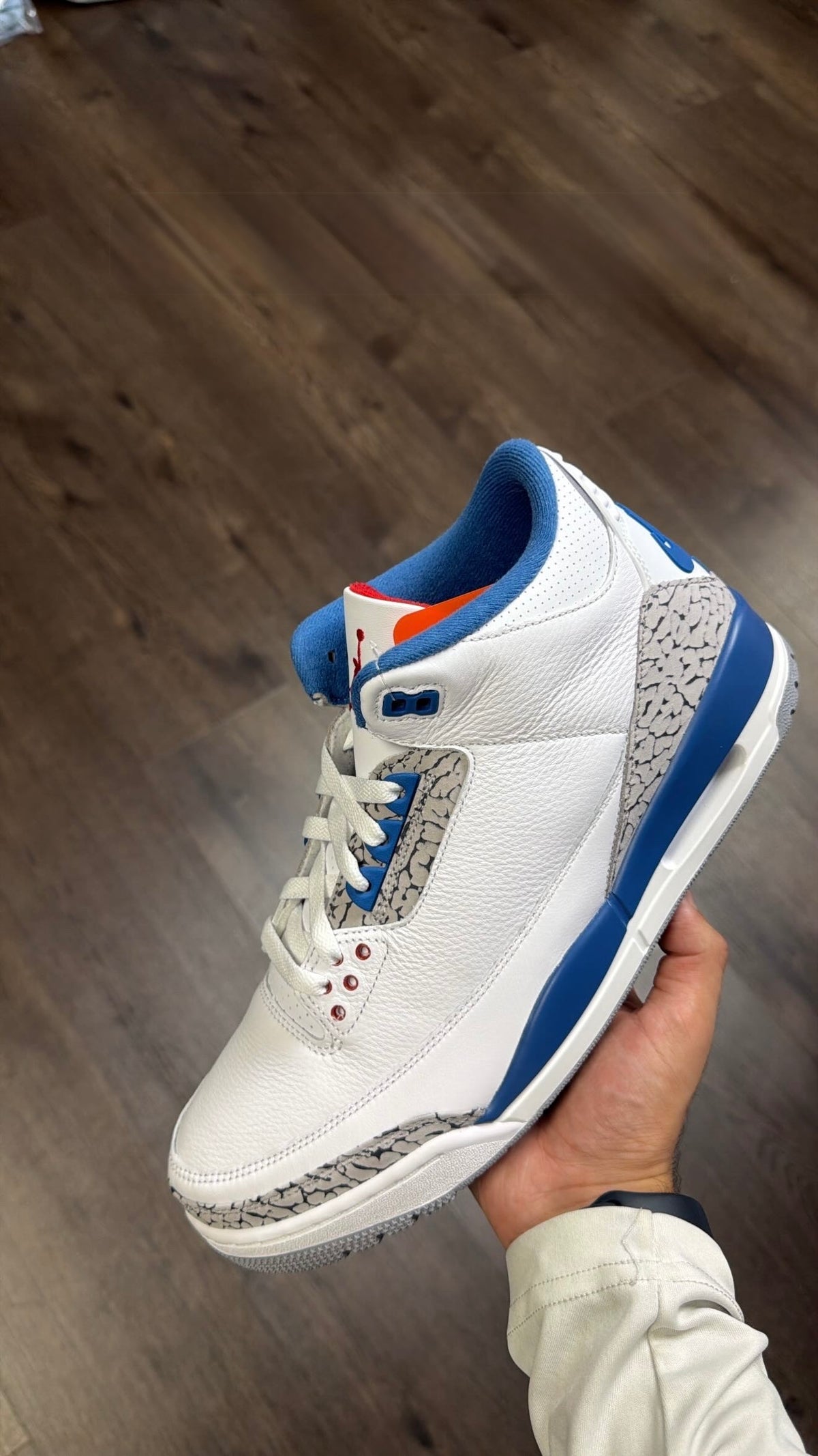 Jordan 3 “True Blue”