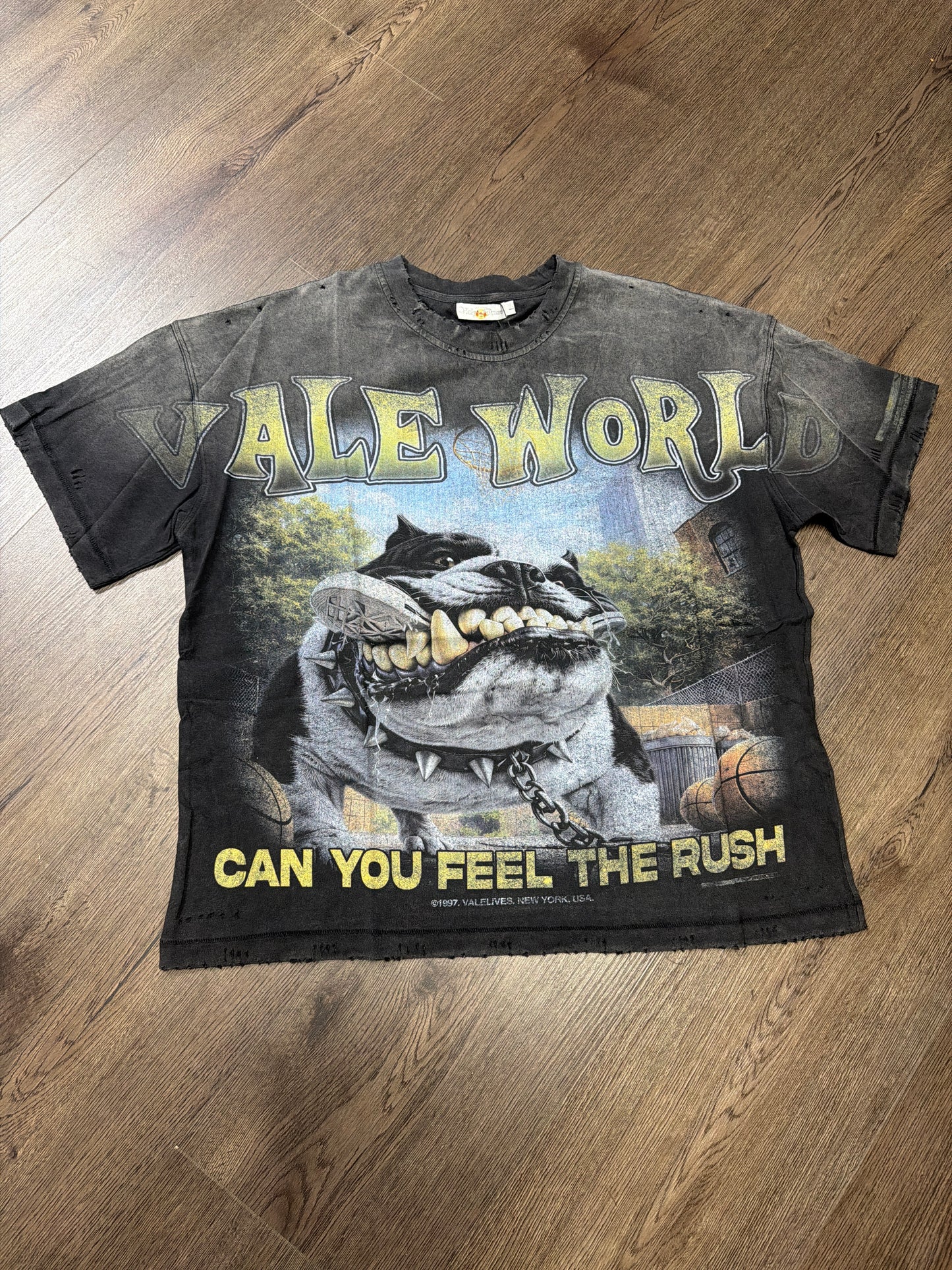 Valley Dreams Dog Can You Feel The Rush Tee